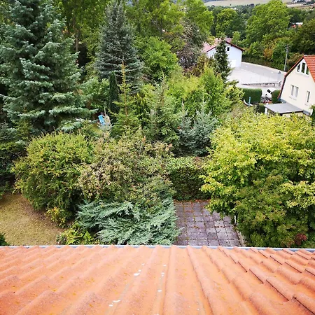 Gemuetliche Mit Terrasse, Naehe Stadtzentrum Appartement Sondershausen
